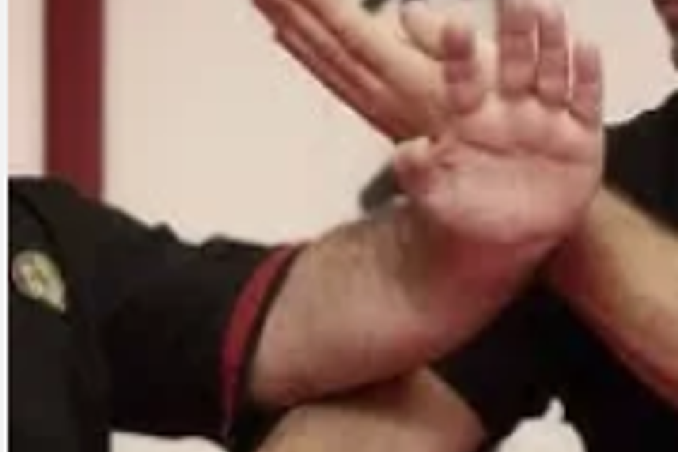 Wingtsun lap sao image