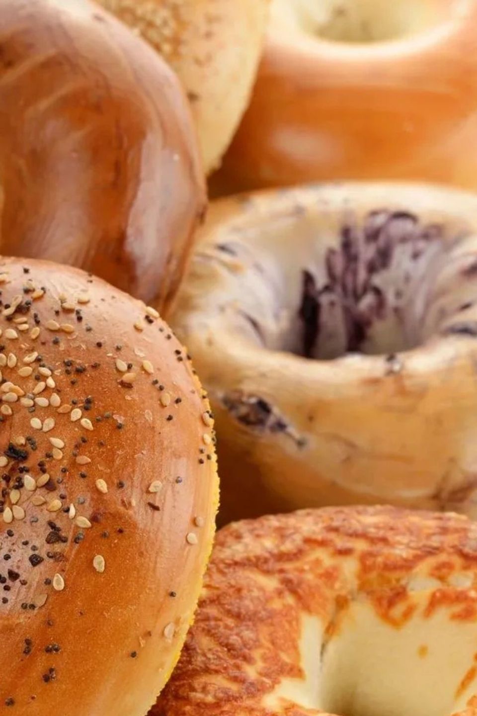 Bagels johnsoncity 68