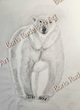 Pencil. Polar Bear