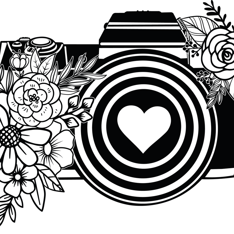 Profession   photographer camera 4 6