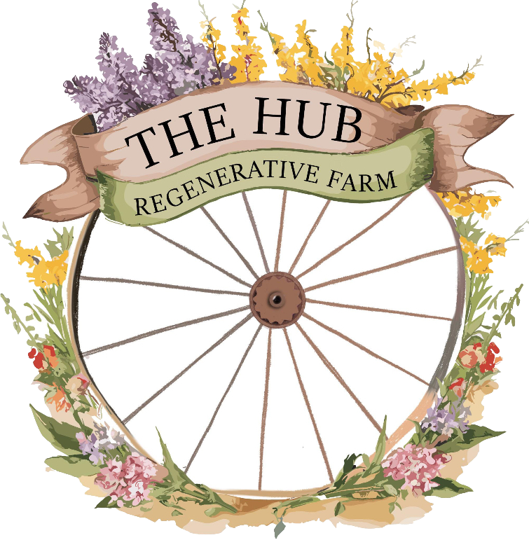 The Hub Regenerative Farm