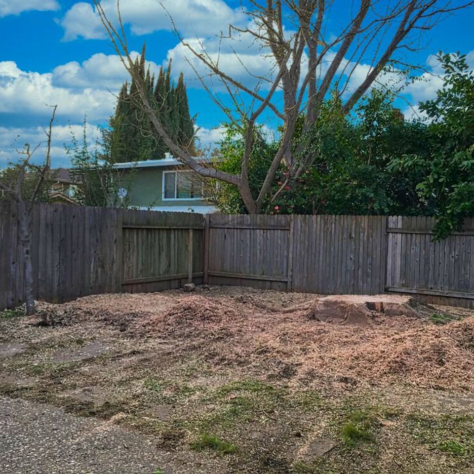 Aftermath of professional stump grinding showing deep-root removal and wood mulch debris – Bud’s Tri-County Tree Services Inc. – Licensed #785788
