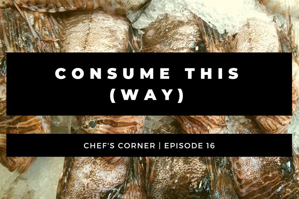 Chefs corner blog covers (16)