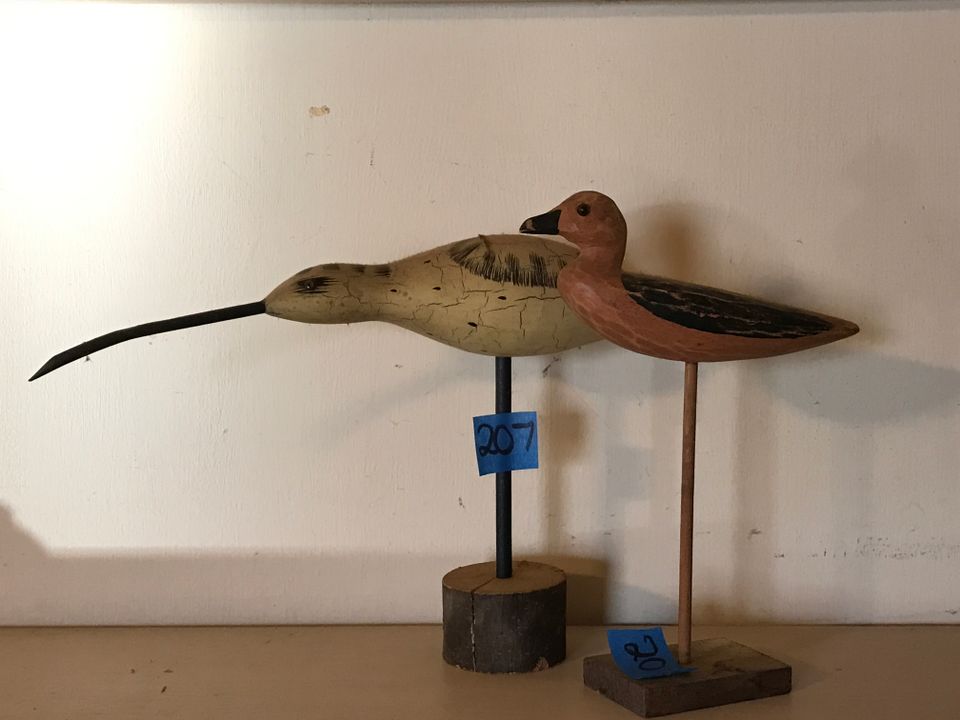 Img 2781