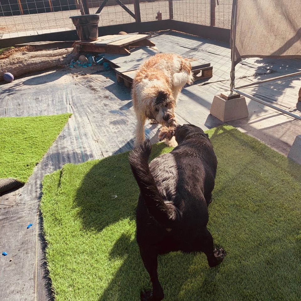 473082034 1033951585453106 1402891426225308160 n