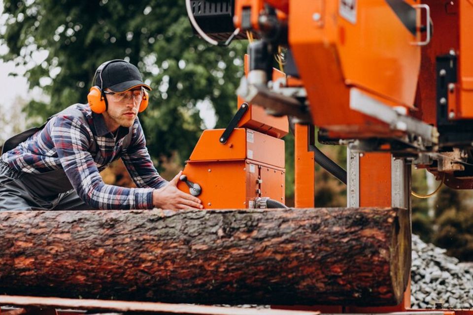 Tree stump removal service in marion