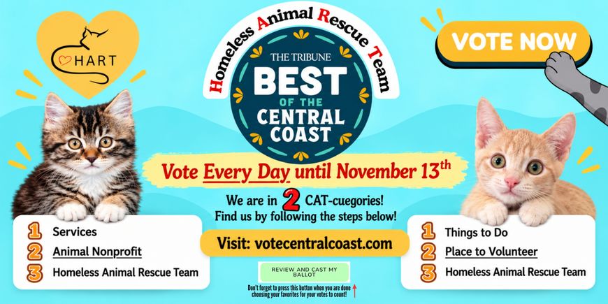 Don’t forget to press this button when you are done choosing your favorites for your votes to count! (1)