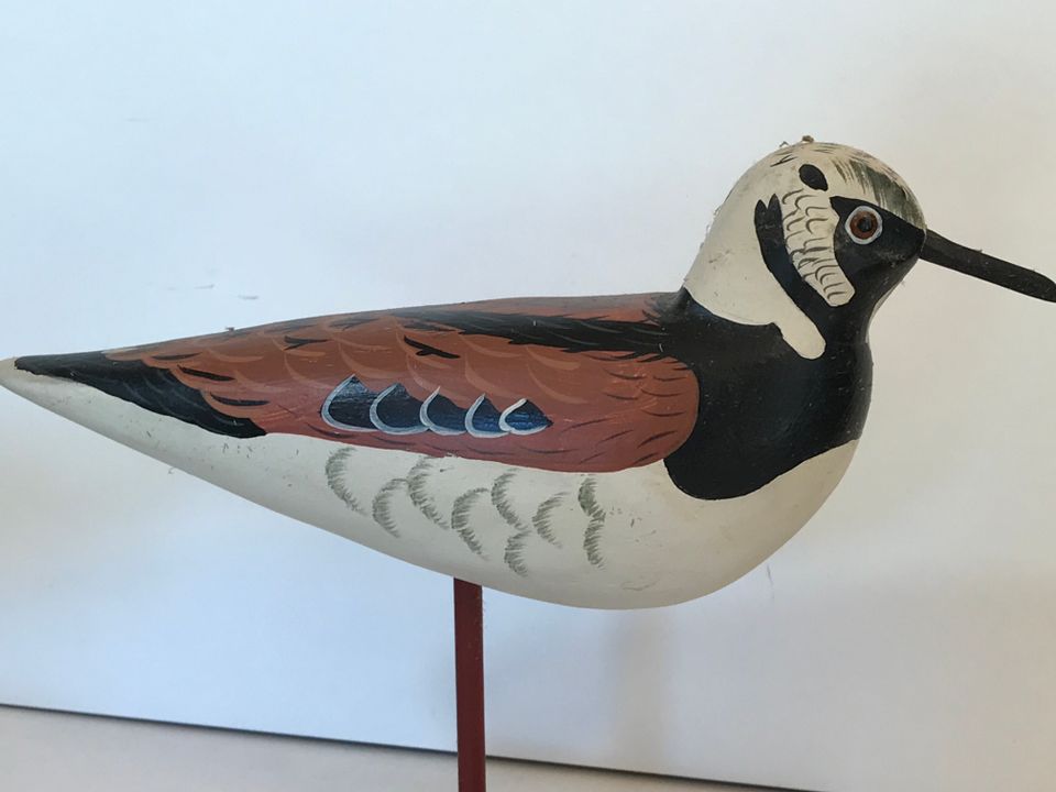 Img 2543
