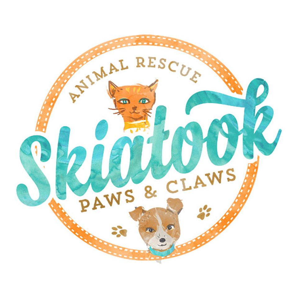 Skiatooklogo2s