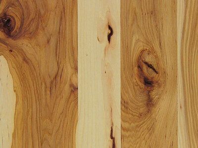 New hickory char 400x300 1e6