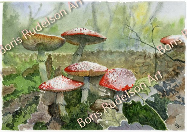 Fly Agarics. Watercolor
