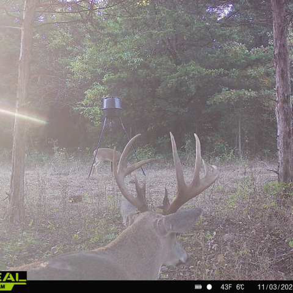 865814043798170 100 4 11032025075800 w1000462