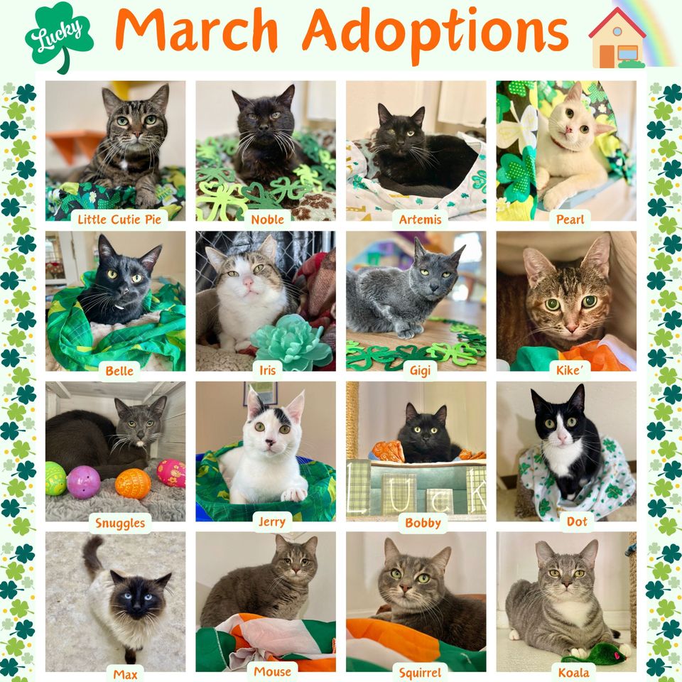 March adoptions (1)