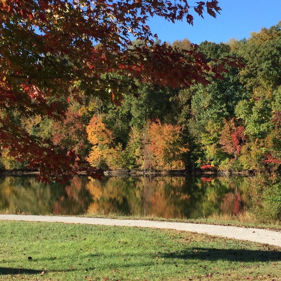 Tims ford lake  (1)