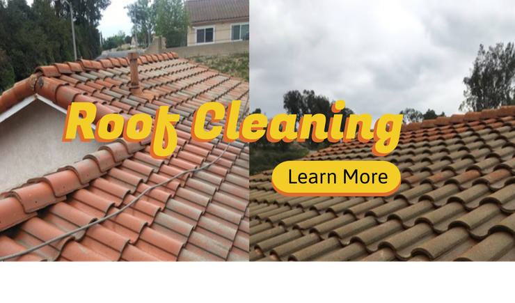 Roofcleaning123