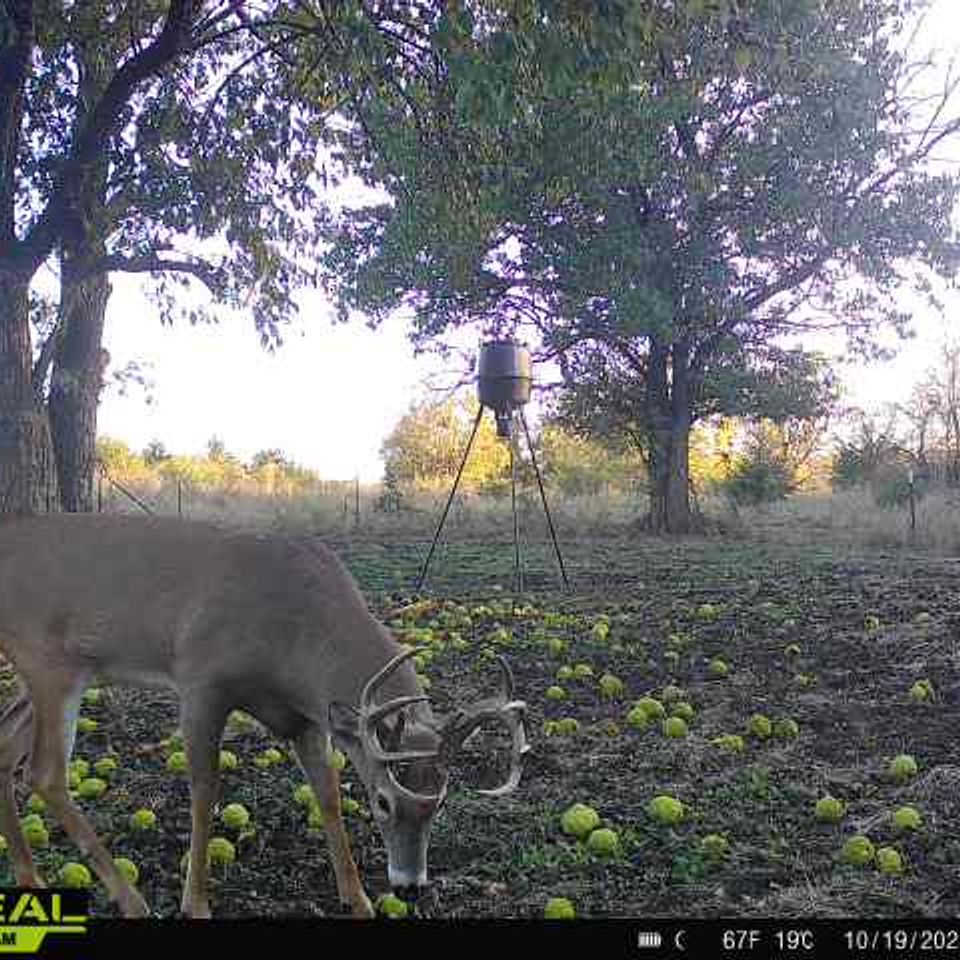 865814044839494 100 3 10192025180802 w1002464