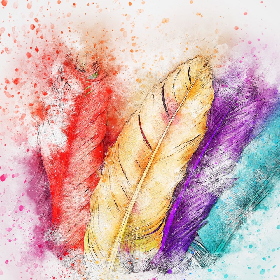 Feathers gd03560f57 1920