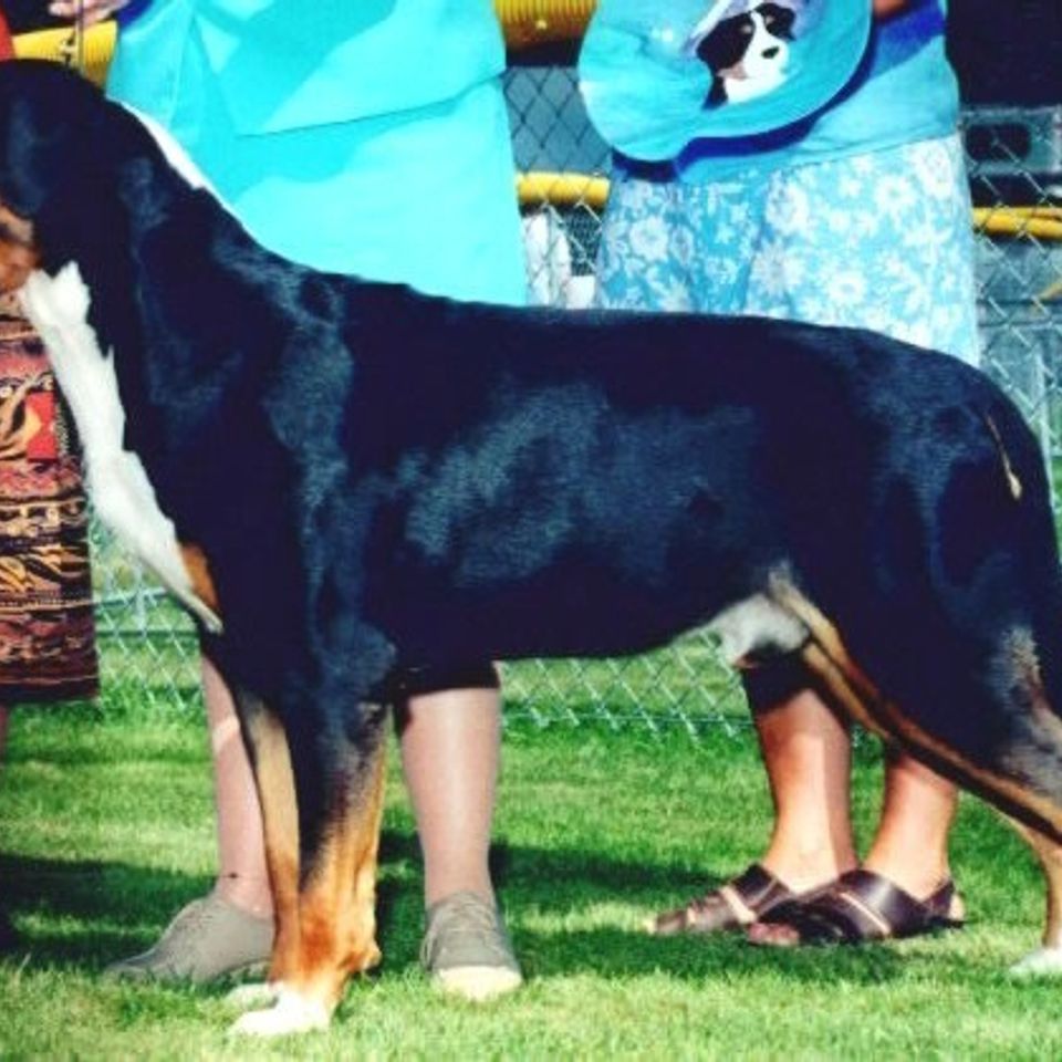 Connor 5 yrs