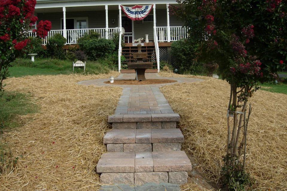 Img 3800