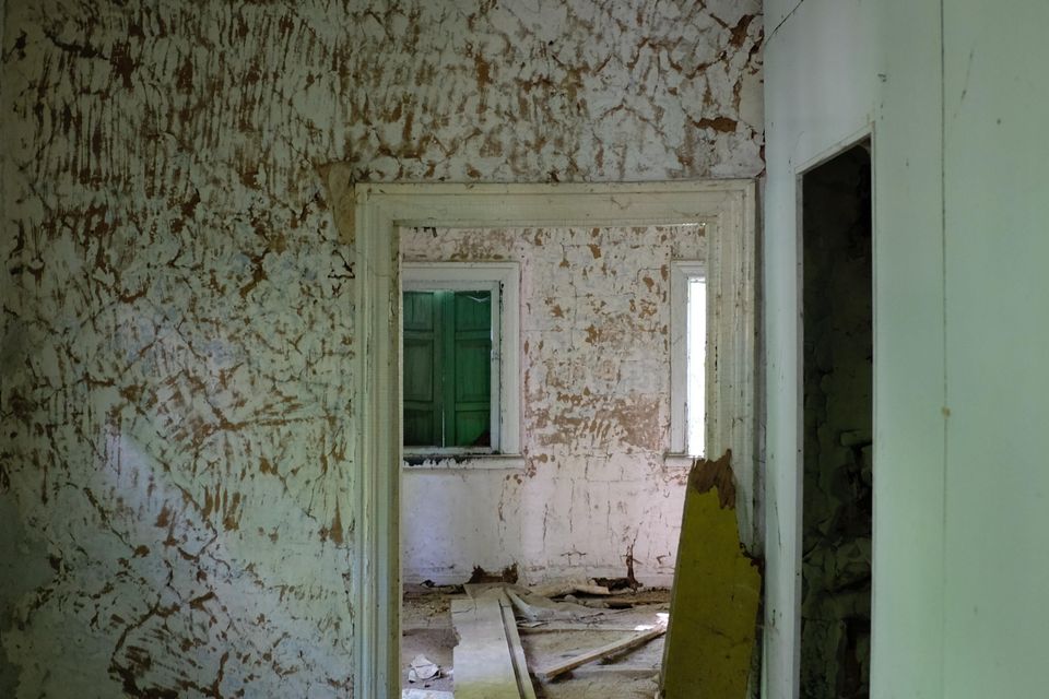 Samuel ryde gx83m8ry5j8 unsplash