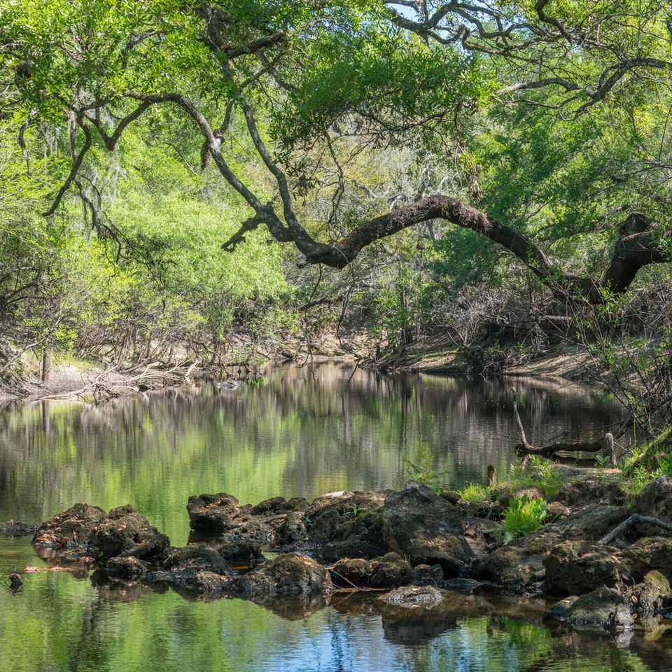 Lake alfred