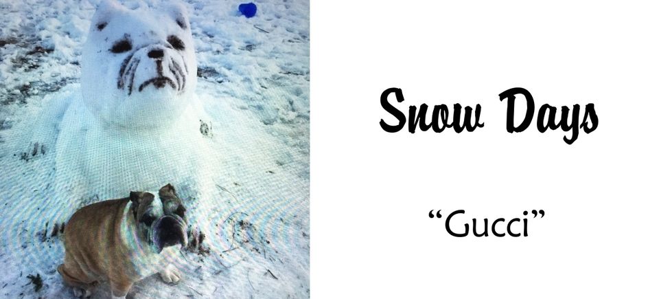 Celebrations   snow gucci20150715 7419 tr24qy