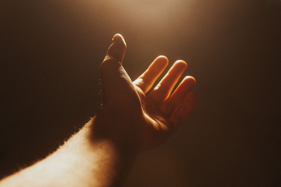 Hand 52e6d3424d 1920