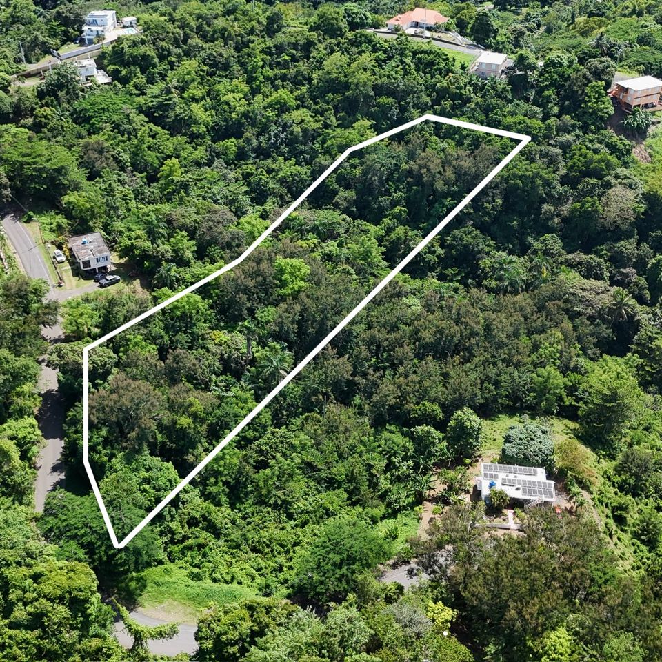 Dji 20251017133135 0881 d 2