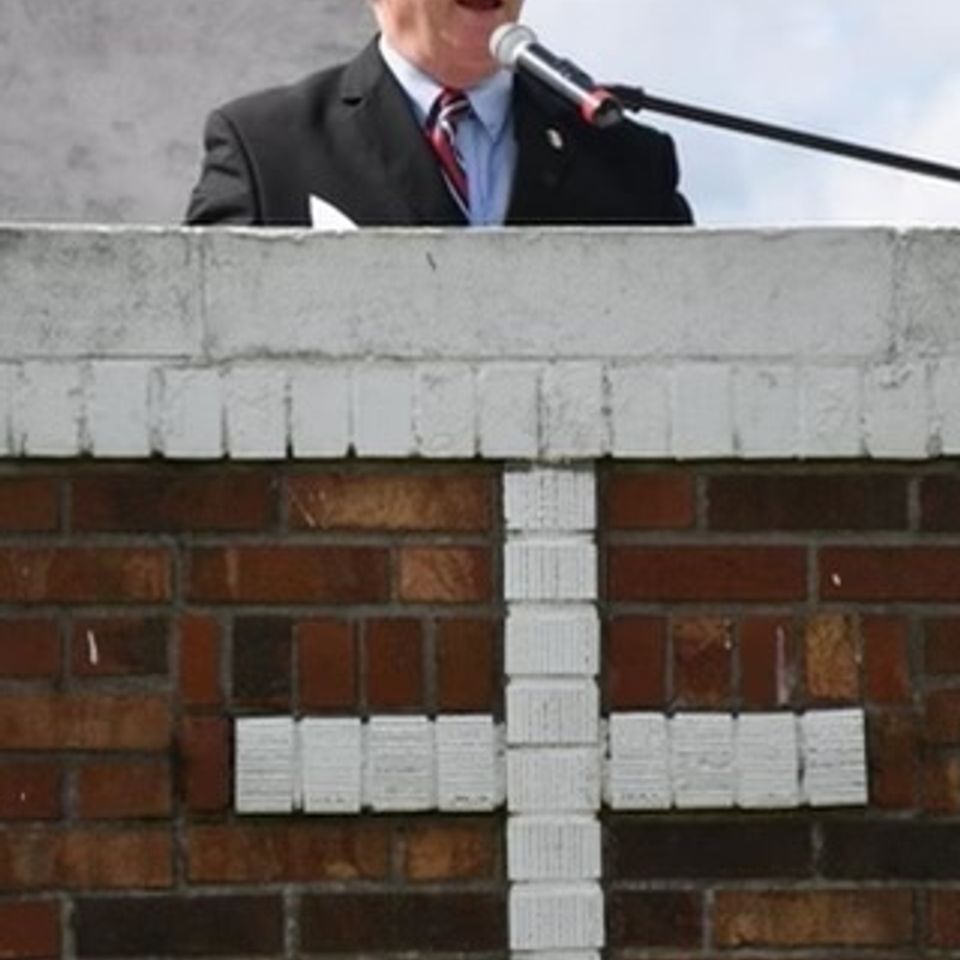 Mayorneisler