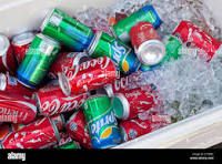 Cooler of sada
