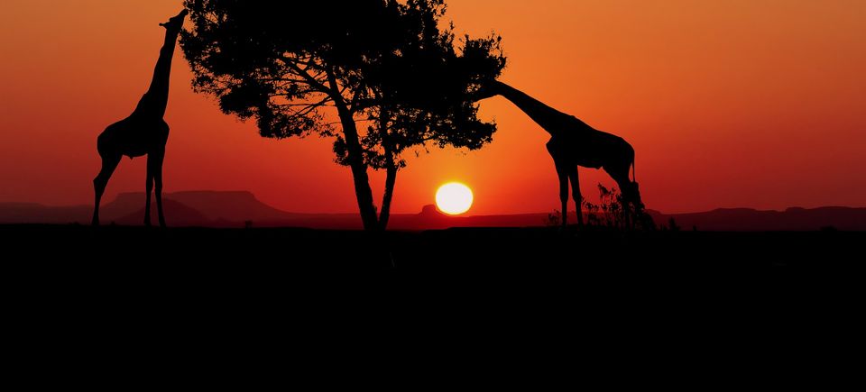 Sunset g05572bfb1 1920