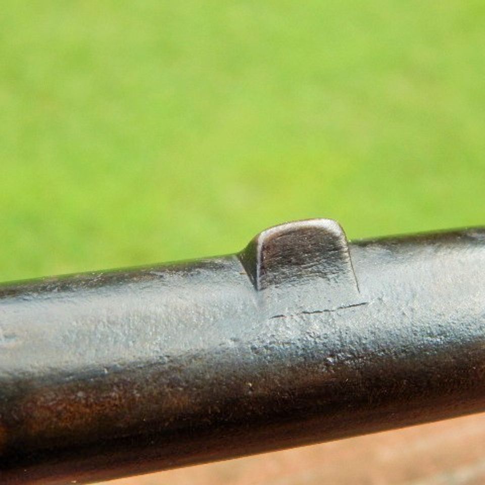 Dscn5251