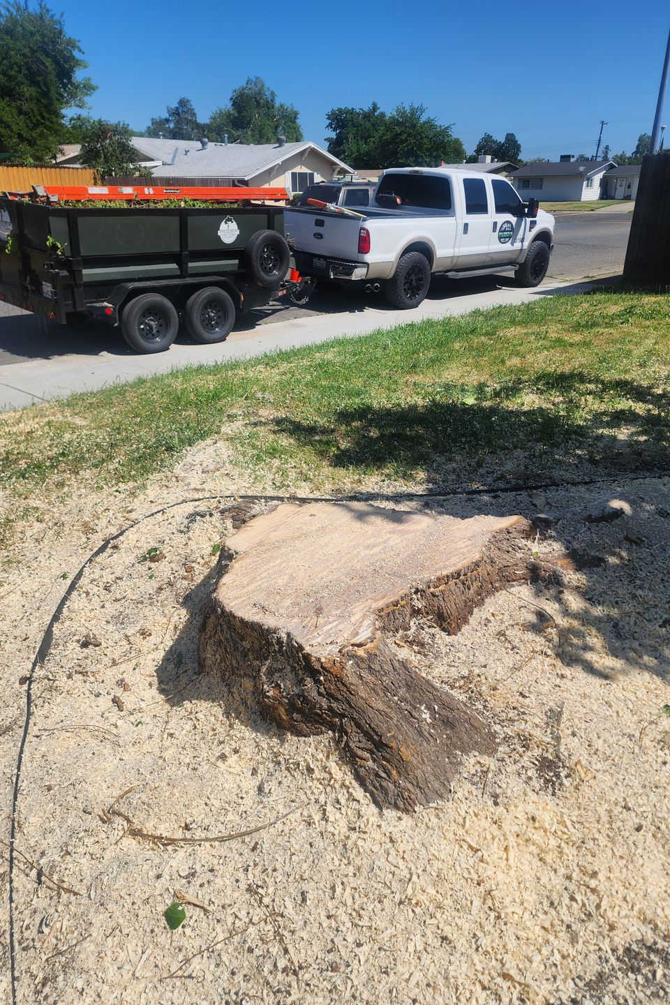 Freshly ground tree stump by Above It All Tree Care, leaving a clean and level surface for new landscaping in Roseville.