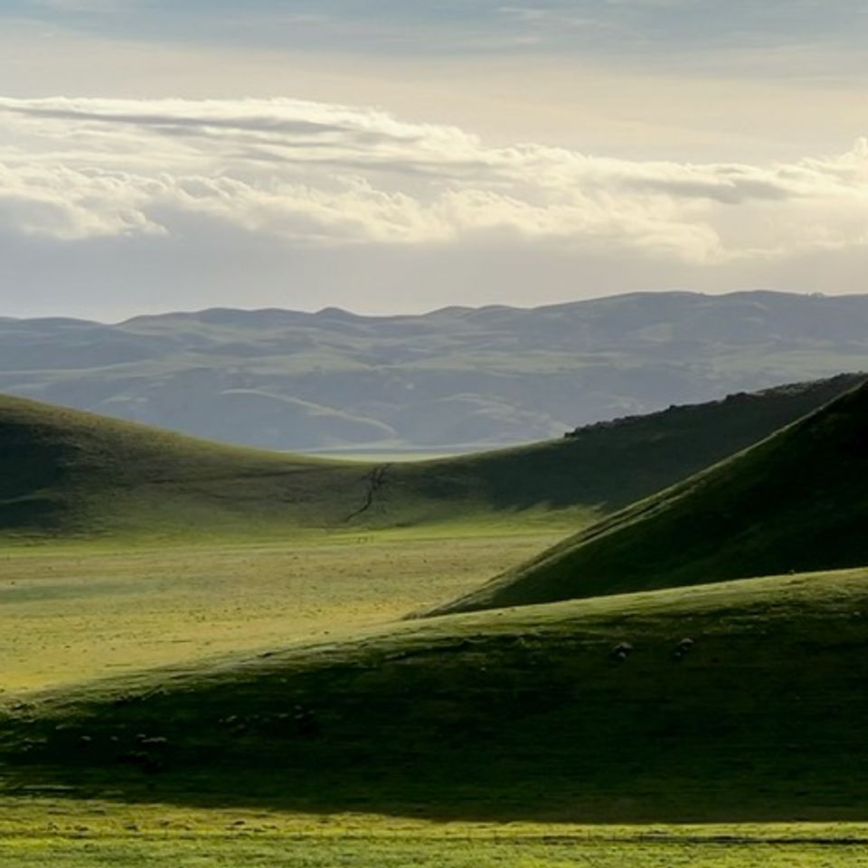 Image2