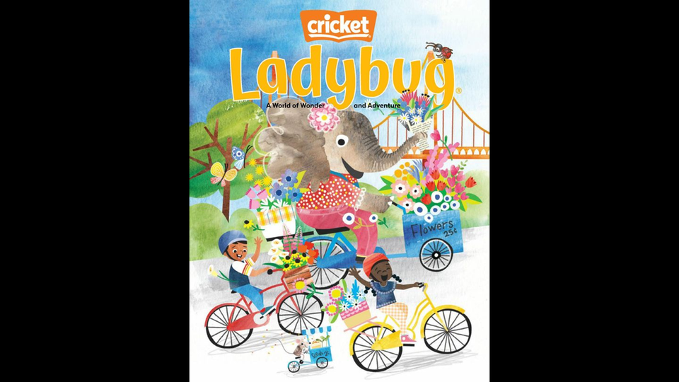 07 02 silver tier magazine   ladybug