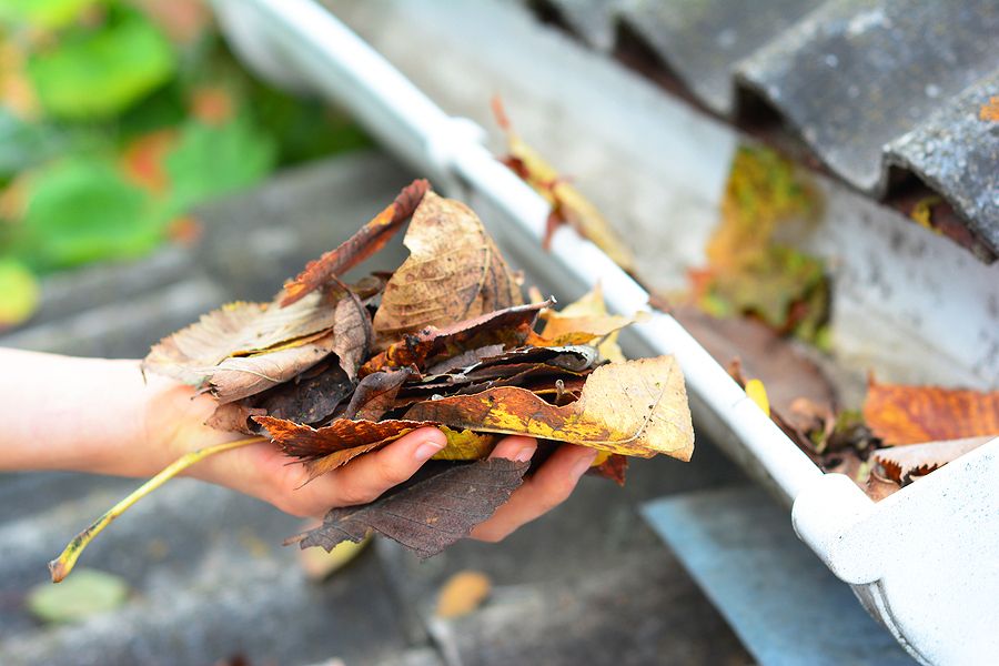 Bigstock roof gutter cleaning in autumn 444653543 (1)