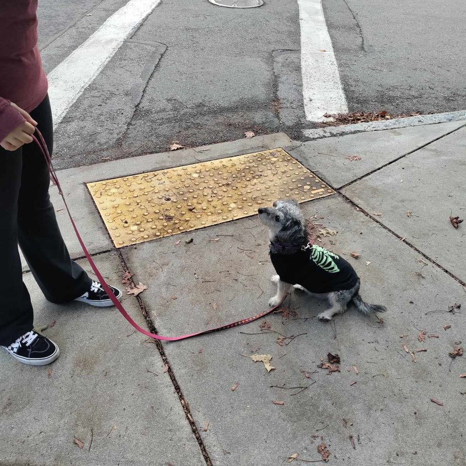 Received 631313475863555