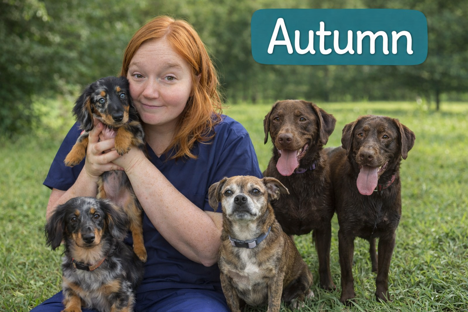 Autumnpic