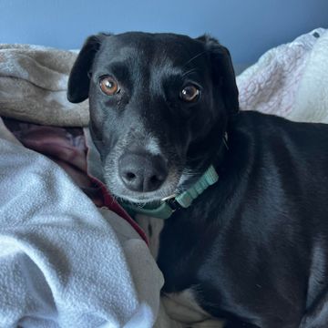 alt="The Party Savers staff bartending and waitressing at a Long Island Graduation Party"