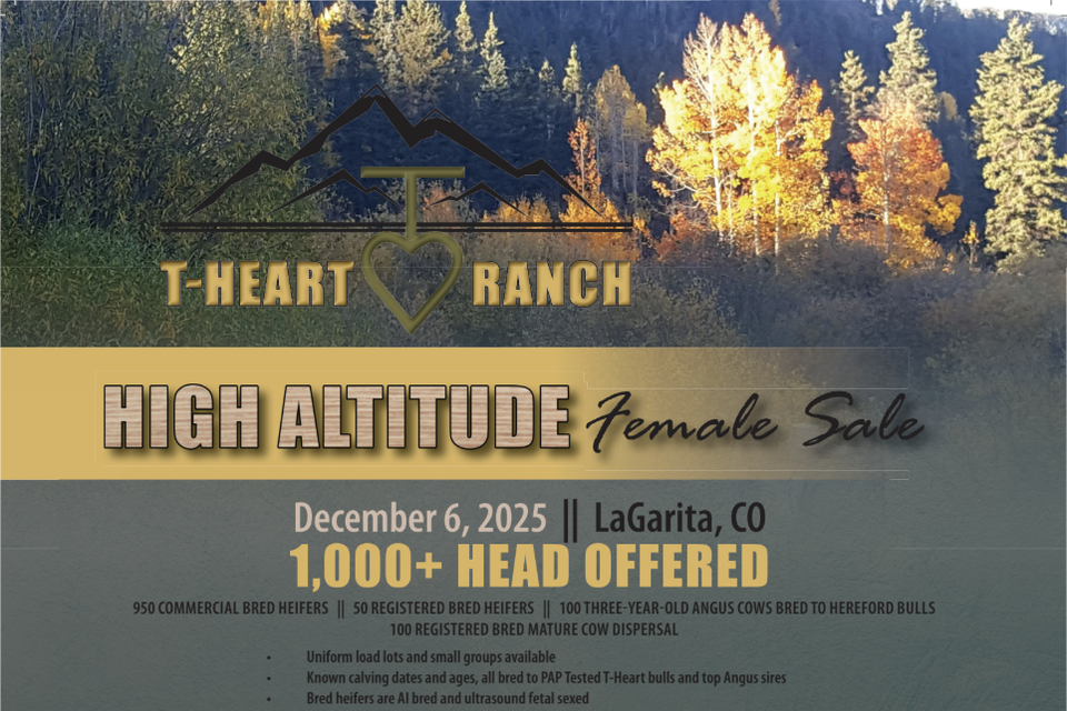 T heart female
