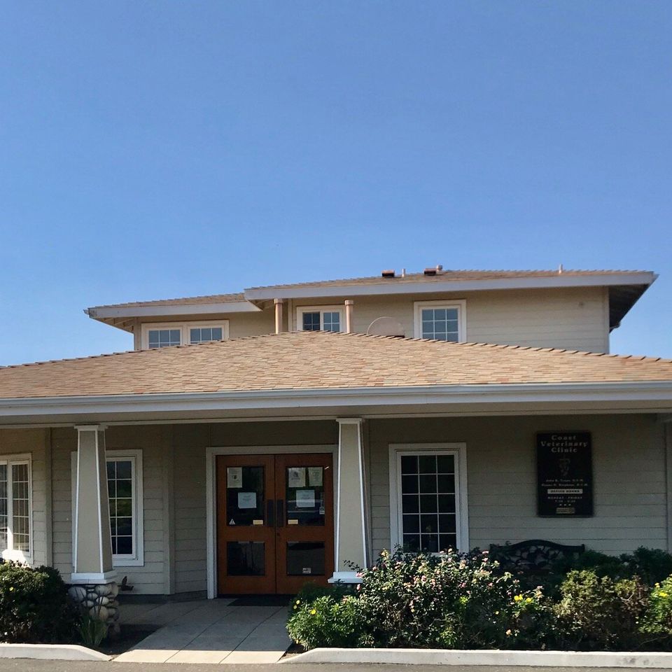 Coast veterinary clinic
