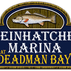 Steinhatchee marina logo