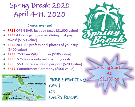 Website  spring break graphic