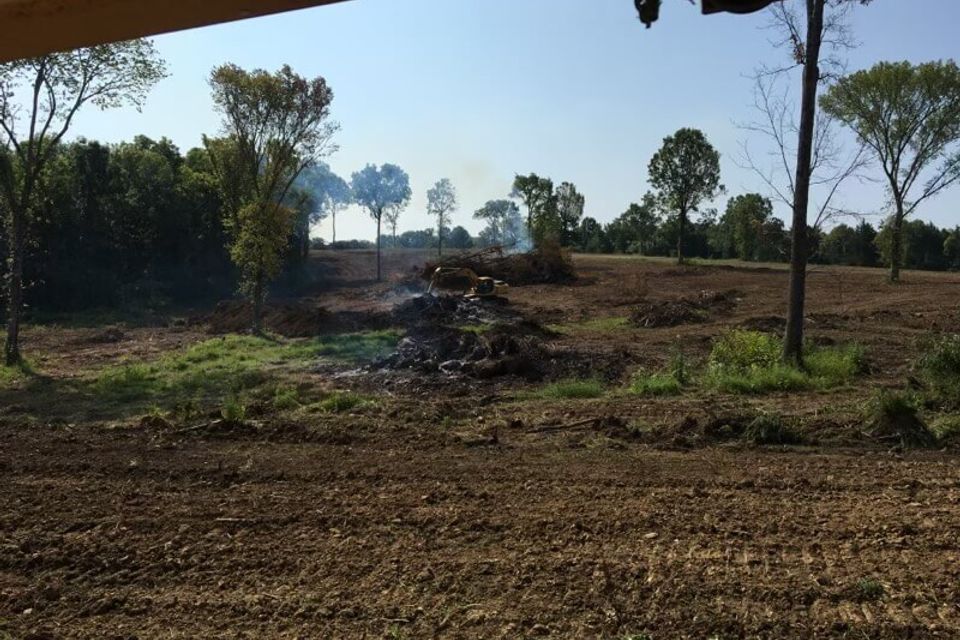 Gallery bush trucking 10