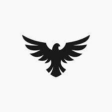 Falcon Facts