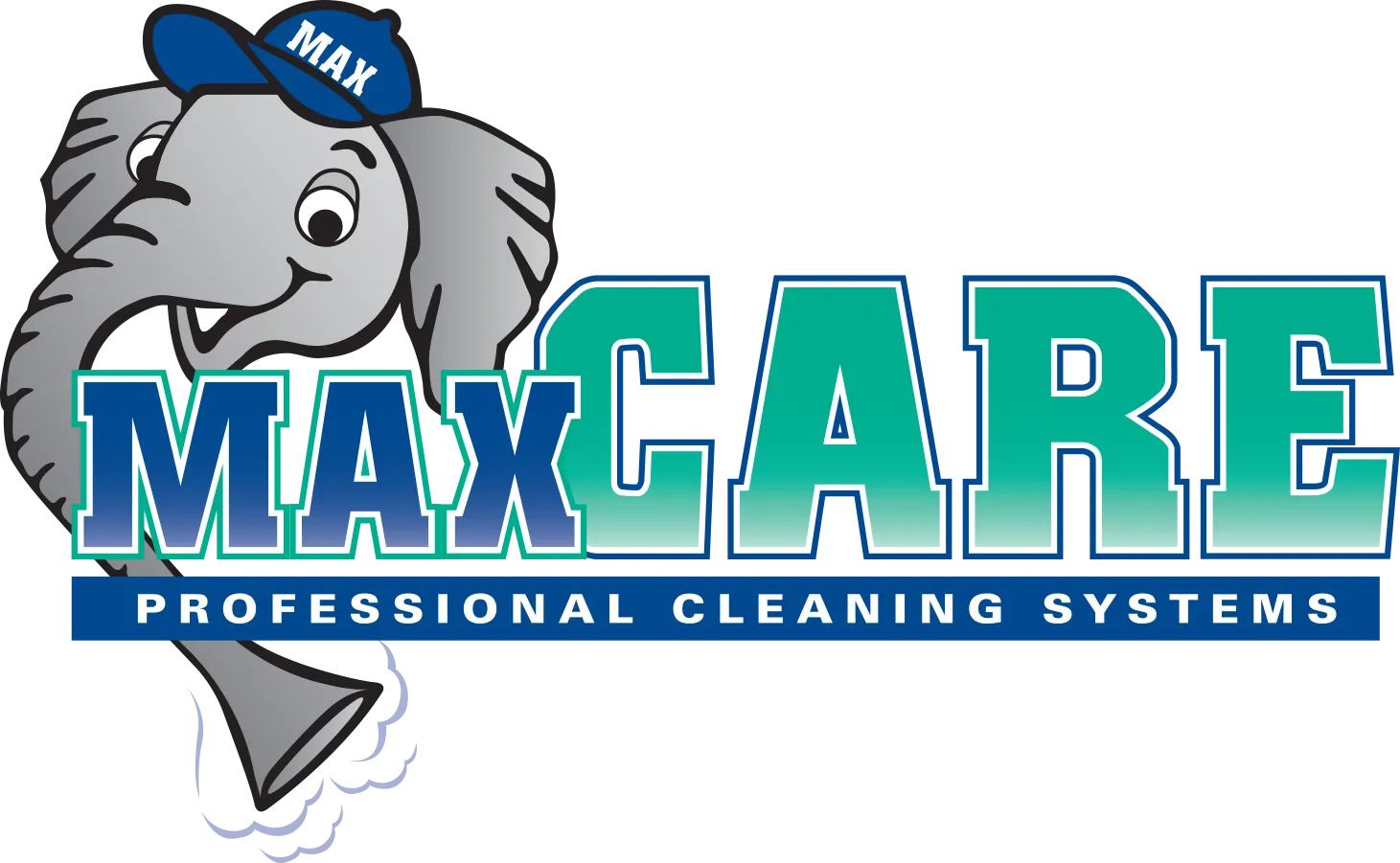 Client logo used in this carpet cleaning website case study
