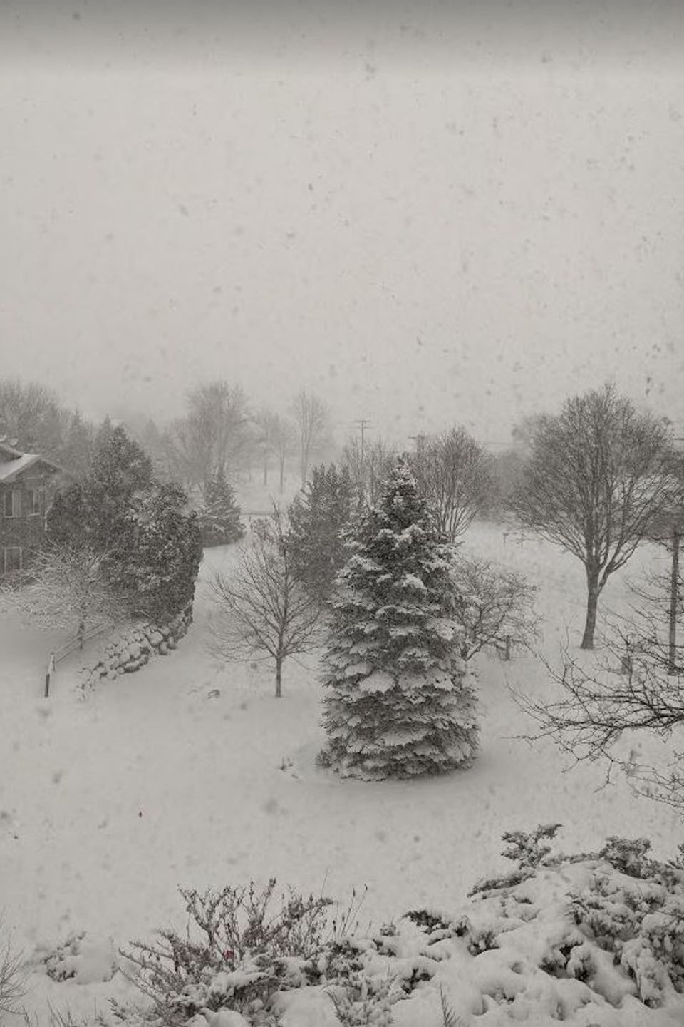 Snow scene from 2nd floor window