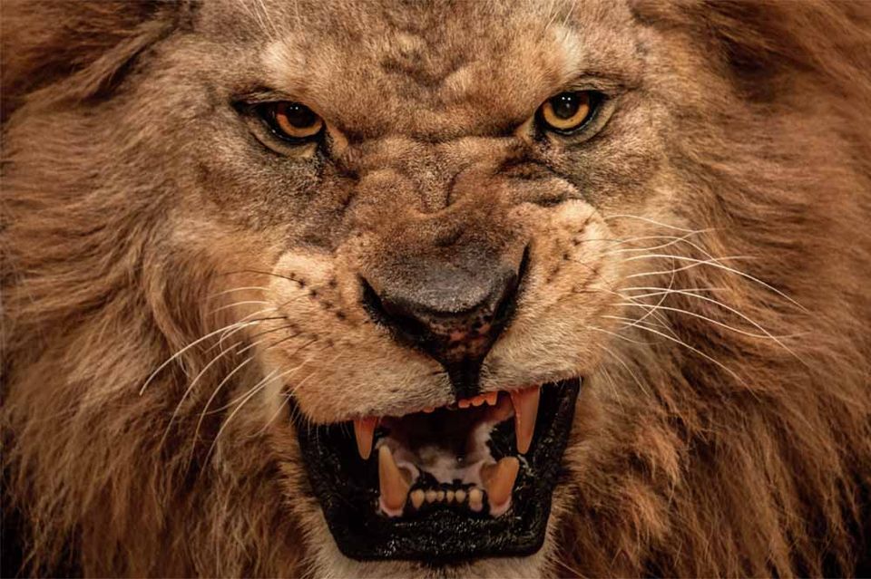 Boise anger management counselor