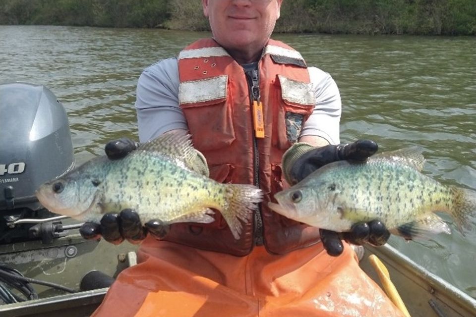 Black crappie survey at Donegal Lake in Westmoreland County