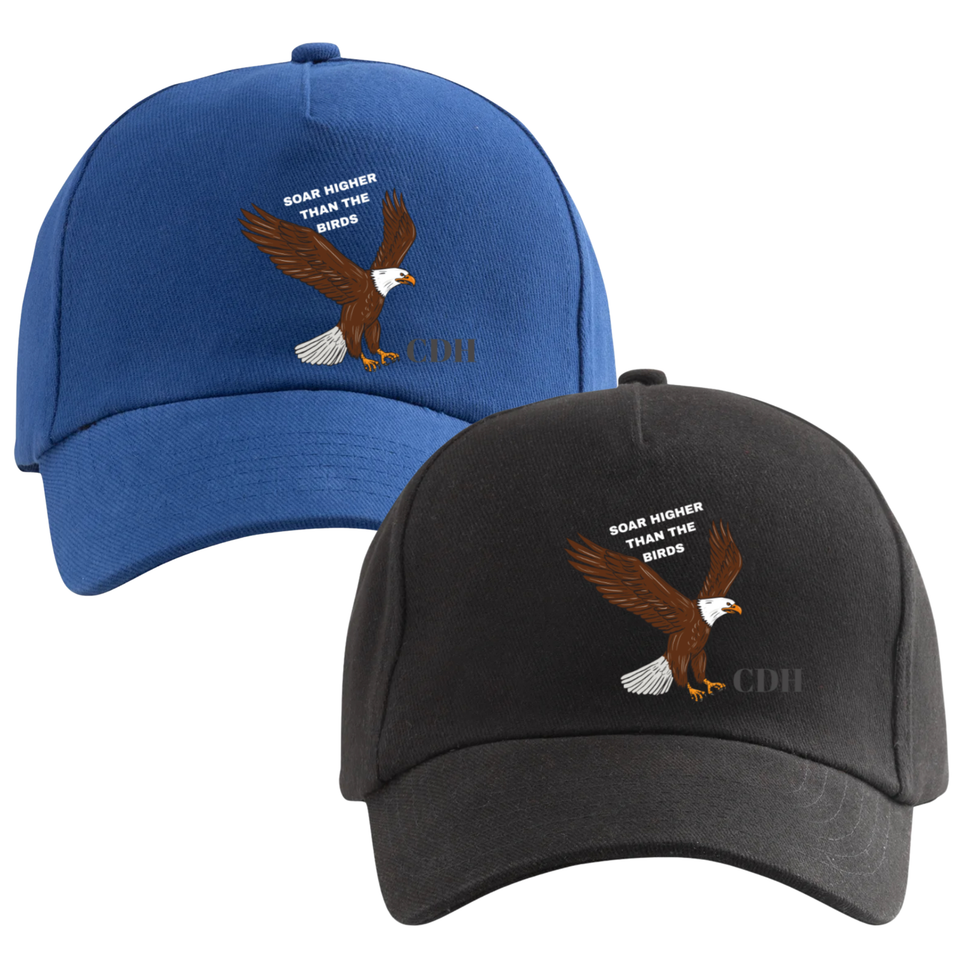 Eagles merch designs .zip   7